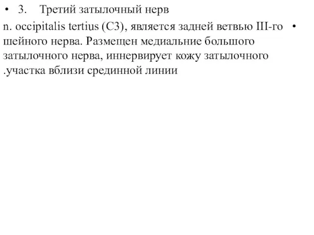 3. Третий затылочный нерв n. occipitalis tertius (C3), является задней ветвью ІІІ-го