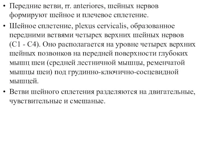 Передние ветви, rr. anteriores, шейных нервов формируют шейное и плечевое сплетение. Шейное