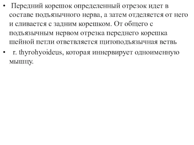 Передний корешок определенный отрезок идет в составе подъязычного нерва, а затем отделяется