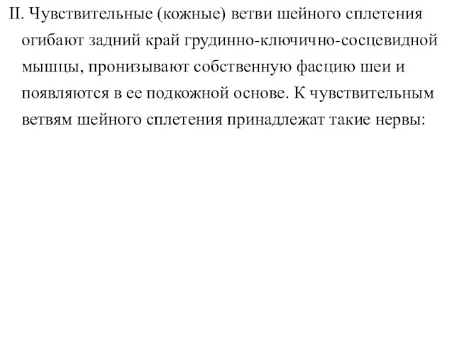 II. Чувствительные (кожные) ветви шейного сплетения огибают задний край грудинно-ключично-сосцевидной мышцы, пронизывают