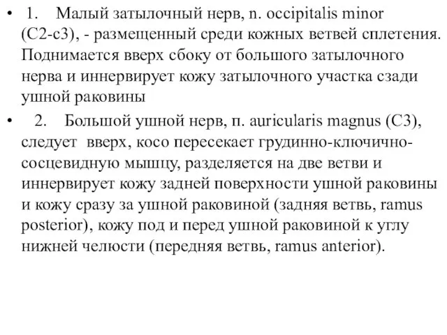 1. Малый затылочный нерв, n. occipitalis minor (C2-c3), - размещенный среди кожных