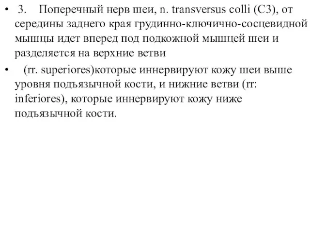 3. Поперечный нерв шеи, n. transversus colli (C3), от середины заднего края