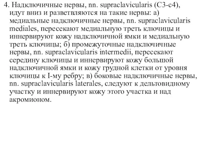 4. Надключичные нервы, nn. supraclavicularis (C3-c4), идут вниз и разветвляются на такие