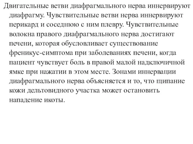 Двигательные ветви диафрагмального нерва иннервируют диафрагму. Чувствительные ветви нерва иннервируют перикард и