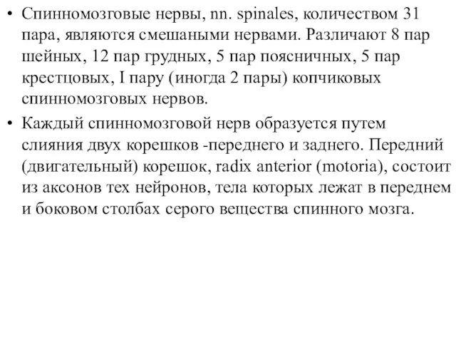 Спинномозговые нервы, nn. spinales, количеством 31 пара, являются смешаными нервами. Различают 8