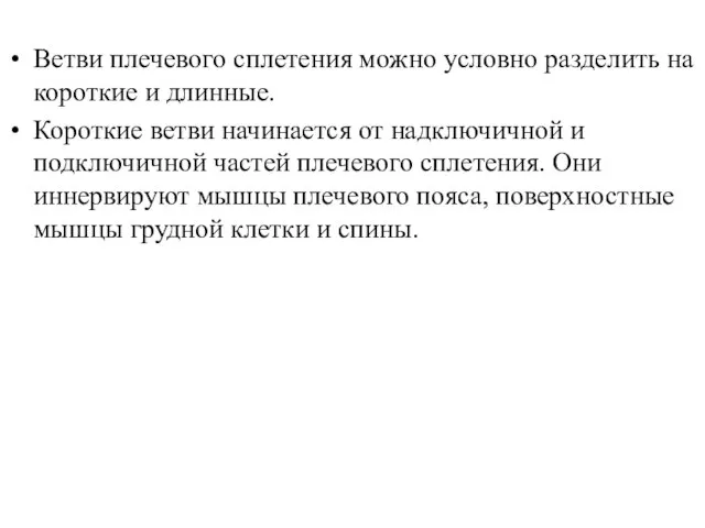 Ветви плечевого сплетения можно условно разделить на короткие и длинные. Короткие ветви