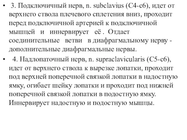 3. Подключичный нерв, n. subclavius (C4-c6), идет от верхнего ствола плечевого сплетения