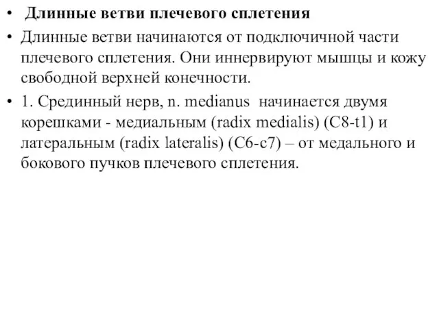 Длинные ветви плечевого сплетения Длинные ветви начинаются от подключичной части плечевого сплетения.