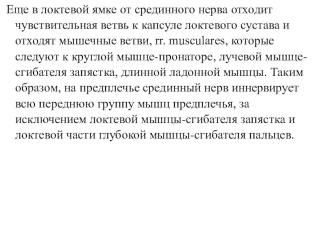 Еще в локтевой ямке от срединного нерва отходит чувствительная ветвь к капсуле