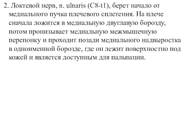 2. Локтевой нерв, n. ulnaris (C8-t1), берет начало от медиального пучка плечевого