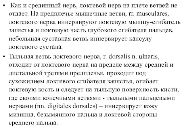 Как и срединный нерв, локтевой нерв на плече ветвей не отдает. На