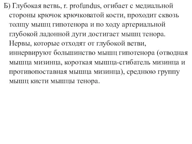 Б) Глубокая ветвь, r. profundus, огибает с медиальной стороны крючок крючковатой кости,