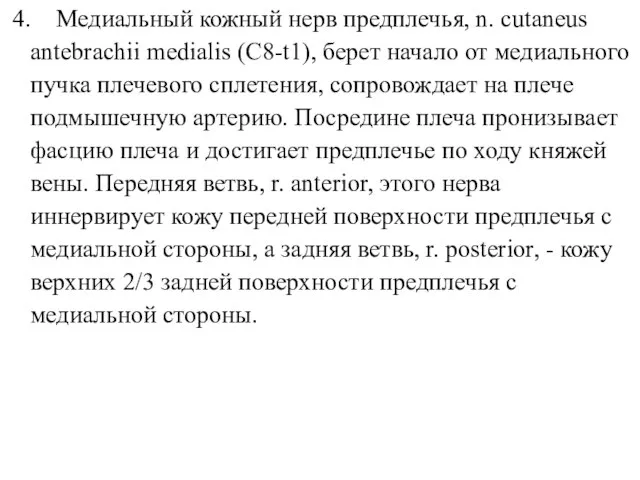 4. Медиальный кожный нерв предплечья, n. cutaneus antebrachii medialis (C8-t1), берет начало