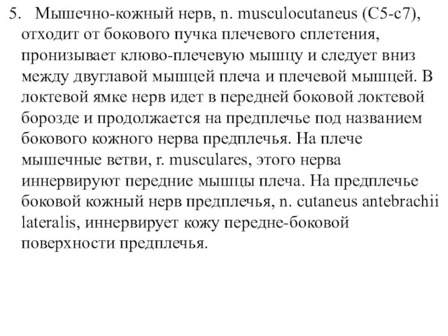 5. Мышечно-кожный нерв, n. musculocutaneus (C5-c7), отходит от бокового пучка плечевого сплетения,