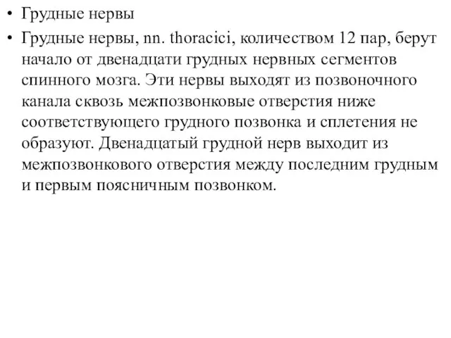 Грудные нервы Грудные нервы, nn. thoracici, количеством 12 пар, берут начало от