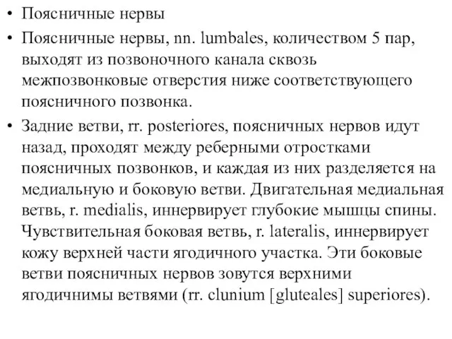 Поясничные нервы Поясничные нервы, nn. lumbales, количеством 5 пар, выходят из позвоночного