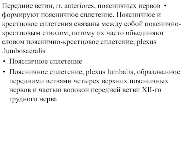 Передние ветви, rr. anteriores, поясничных нервов формируют поясничное сплетение. Поясничное и крестцовое