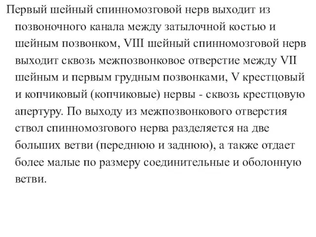 Первый шейный спинномозговой нерв выходит из позвоночного канала между затылочной костью и