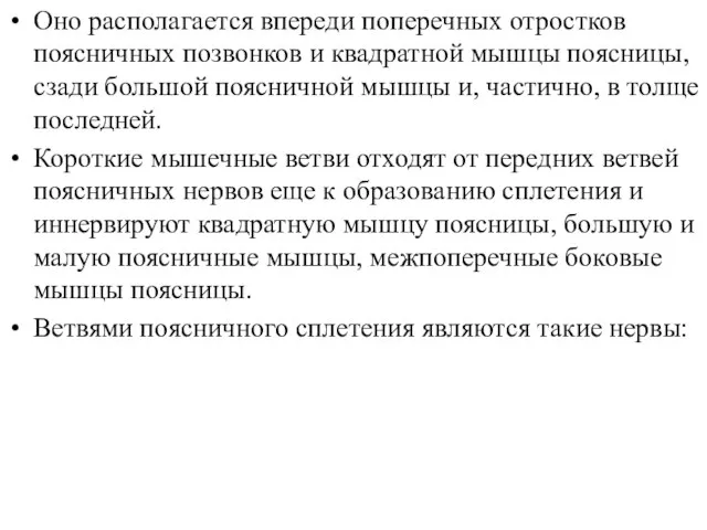 Оно располагается впереди поперечных отростков поясничных позвонков и квадратной мышцы поясницы, сзади