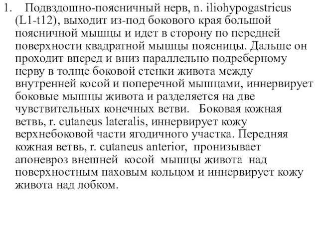 1. Подвздошно-поясничный нерв, n. iliohypogastricus (L1-t12), выходит из-под бокового края большой поясничной