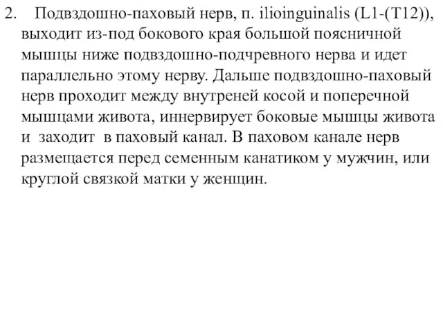 2. Подвздошно-паховый нерв, п. ilioinguinalis (L1-(T12)), выходит из-под бокового края большой поясничной