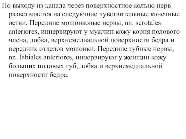 По выходу из канала через поверхностное кольцо нерв разветвляется на следующие чувствительные