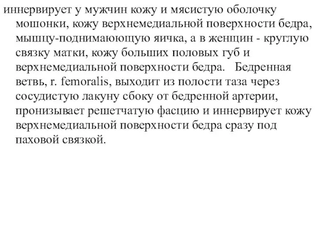 иннервирует у мужчин кожу и мясистую оболочку мошонки, кожу верхнемедиальной поверхности бедра,