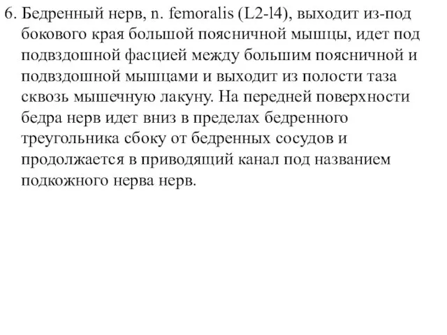 6. Бедренный нерв, n. femoralis (L2-l4), выходит из-под бокового края большой поясничной