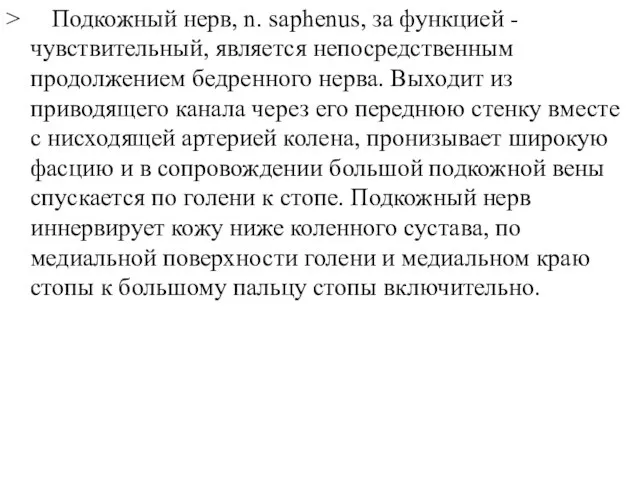 > Подкожный нерв, n. saphenus, за функцией - чувствительный, является непосредственным продолжением