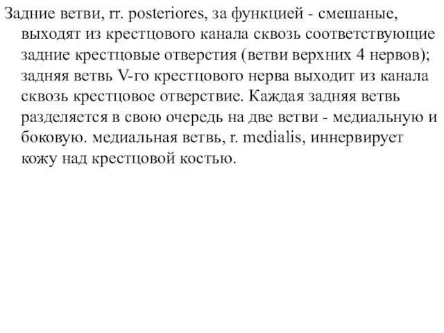 Задние ветви, rr. posteriores, за функцией - смешаные, выходят из крестцового канала