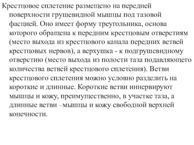 Крестцовое сплетение размещено на передней поверхности грушевидной мышцы под тазовой фасцией. Оно