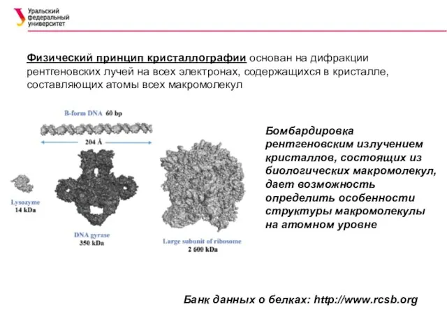 Физический принцип кристаллографии основан на дифракции рентгеновских лучей на всех электронах, содержащихся