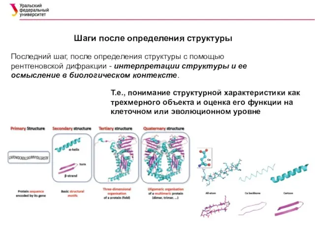 Шаги после определения структуры Последний шаг, после определения структуры с помощью рентгеновской