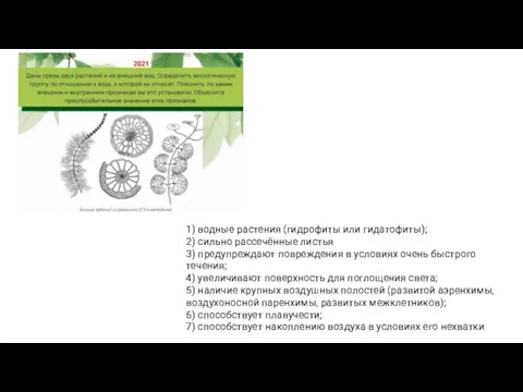 1) водные растения (гидрофиты или гидатофиты); 2) сильно рассечённые листья 3) предупреждают