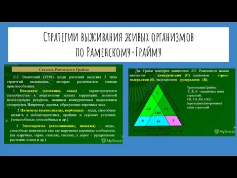 Стратегии выживания живых организмов по Раменскому-Грайму