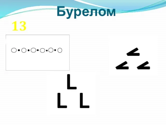 Бурелом 13