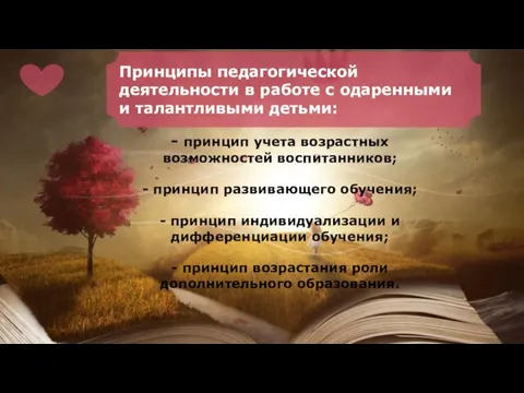 Принципы педагогической деятельности в работе с одаренными и талантливыми детьми: - принцип