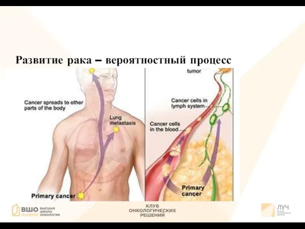 Развитие рака – вероятностный процесс