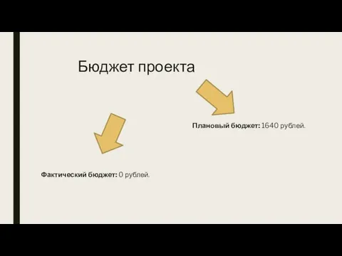 Бюджет проекта Плановый бюджет: 1640 рублей. Фактический бюджет: 0 рублей.