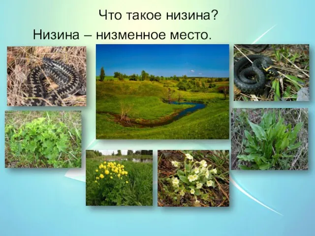 Что такое низина? Низина – низменное место.