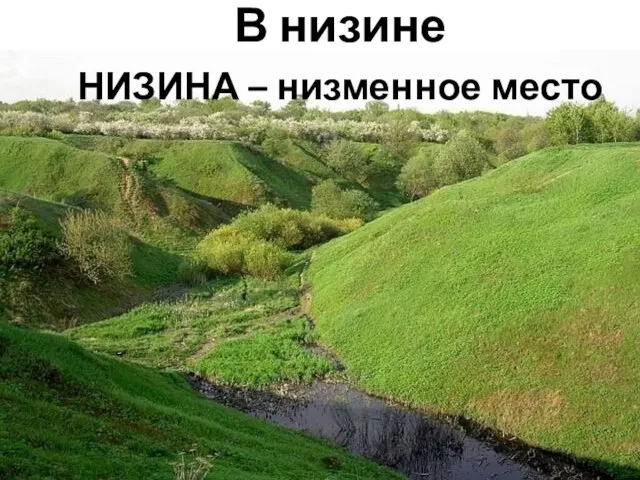 В низине НИЗИНА – низменное место