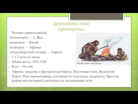 Древнейшие люди (архантропы) Человек прямоходящий: питекантроп — о. Ява; синантроп —Китай атлантроп