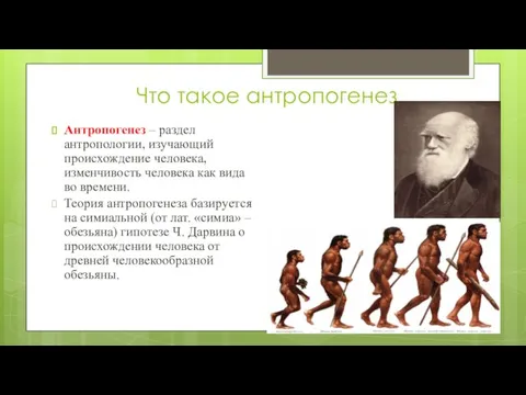 Что такое антропогенез Антропогенез – раздел антропологии, изучающий происхождение человека, изменчивость человека