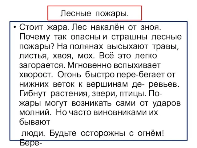 Лесные пожары. Стоит жара. Лес накалён от зноя. Почему так опасны и