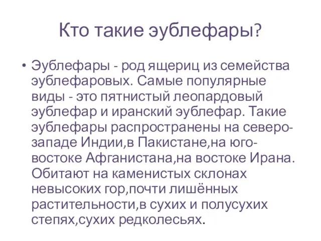 Кто такие эублефары? Эублефары - род ящериц из семейства эублефаровых. Самые популярные