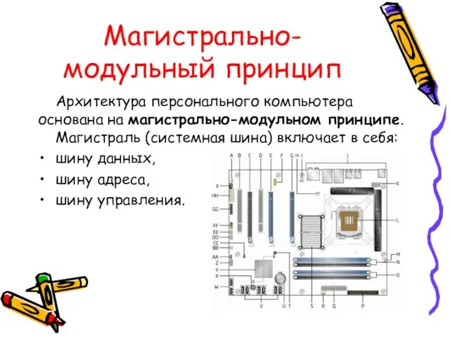 Магистрально-модульный принцип Архитектура персонального компьютера основана на магистрально-модульном принципе. Магистраль (системная шина)