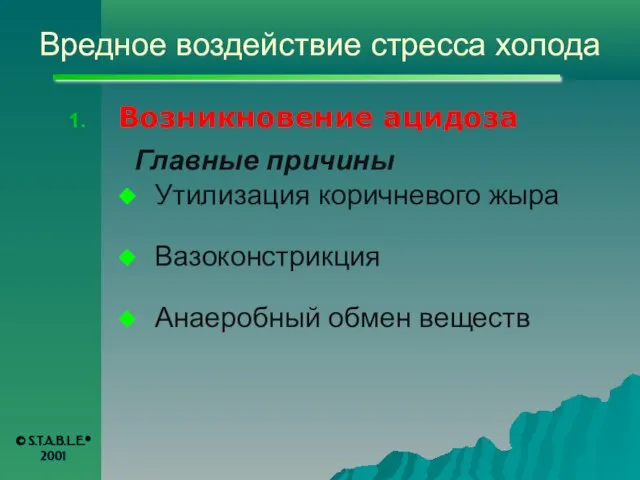 Вредное воздействие стресса холода Возникновение ацидоза Главные причины Утилизация коричневого жыра Вазоконстрикция