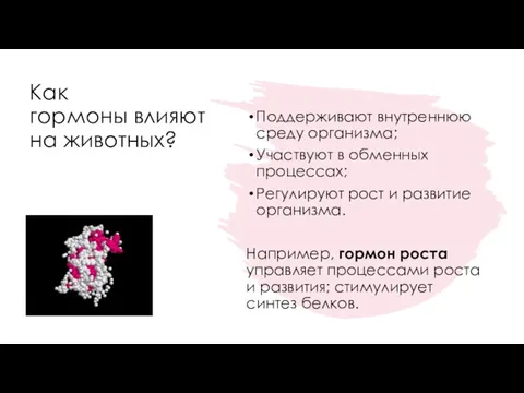 Как гормоны влияют на животных? Поддерживают внутреннюю среду организма; Участвуют в обменных