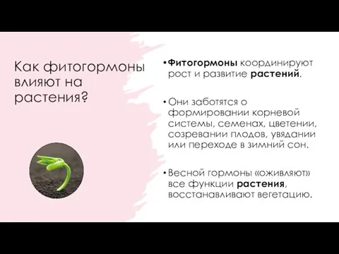 Как фитогормоны влияют на растения? Фитогормоны координируют рост и развитие растений. Они