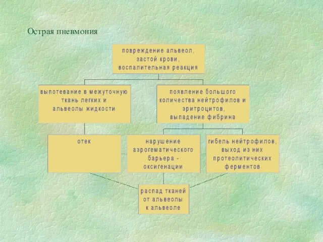 Острая пневмония